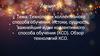 Технологии коллективного способа обучения. Истоки, сущность, важнейшие идеи коллективного способа обучения (КСО). Лекция 13