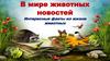 В мире животных новостей. Интересные факты из жизни животных