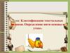 Классификация текстильных волокон. Определение нити основы и утка
