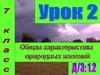 Общая характеристика природных явлений. Урок 2. 7 класс
