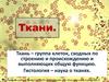 Ткани человека и животных  (8 класс)