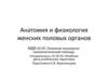 Анатомия и физиология женских половых органов