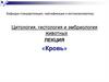 Кровь