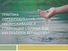 Практика обеззараживания, обезвреживания и утилизации сточных вод как объектов ветнадзора. Лабораторное занятие № 11