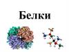 Белки - это сложные высокомолекулярные природные соединения (биополимеры)