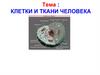 Клетки и ткани человека