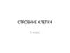 Строение клетки. 5 класс