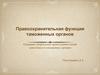 Правоохранительная функция таможенных органов. Основные направления правоохранительной деятельности таможенных органов
