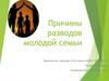 Причины разводов молодой семьи