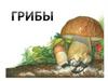 Грибы. Среда обитания