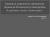 Основные правила дорожного движения для движение пешеходов