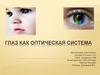 Глаз как оптическая система