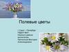Полевые цветы