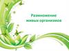 Размножение живых организмов