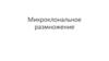 Микроклональное размножение