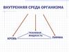 Внутренняя среда организма