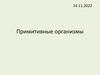 Примитивные организмы