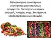 Ветеринарно-санитарная экспертиза растительных продуктов. Экспертиза свежих овощей, плодов, ягод
