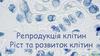 Репродукція клітин. Ріст та розвиток клітин