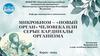 Микробиом - «новый орган» человека или серые кардиналы организма