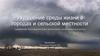 Ухудшение среды жизни в городах и сельской местности