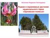 Редкие и охраняемые растения национального парка «Орловское полесье»