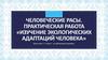 Человеческие расы. Практическая работа «Изучение экологических адаптаций человека»