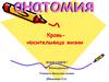 Кровь - носительница жизни