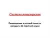 Система пищеварения. Пищеварение в ротовой полости, желудке и 12- перстной кишке