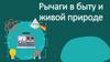 Рычаги в быту и живой природе. Что такое рычаг?