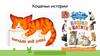 Кошачьи истории