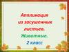 Аппликация из засушенных листьев. Животные