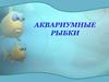 Аквариумные рыбки