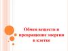 Обмен веществ и превращение энергии в клетке