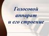 Голосовой аппарат и его строение