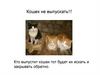 Кошек не выпускать