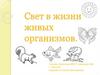 Свет в жизни живых организмов