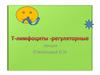 Т-лимфоциты - регуляторные