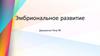 Эмбриональное развитие
