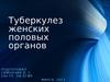 Туберкулез женских половых органов