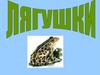 Лягушка. Лягушки-квакушки