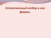 Естественный отбор и его формы