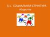 Социальная структура общества