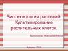Биотехнология растений. Культивирование растительных клеток