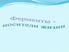 Ферменты - носители жизни