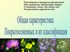 Общая характеристика Покрытосеменных и их классификация