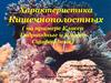 Характеристика Кишечнополостных