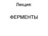Ферменты