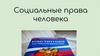 Социальные права человека