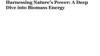 Harnessing Nature's Power: A Deep Dive into Biomass Energy